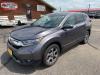 2019 Honda CR-V - thumbnail 1
